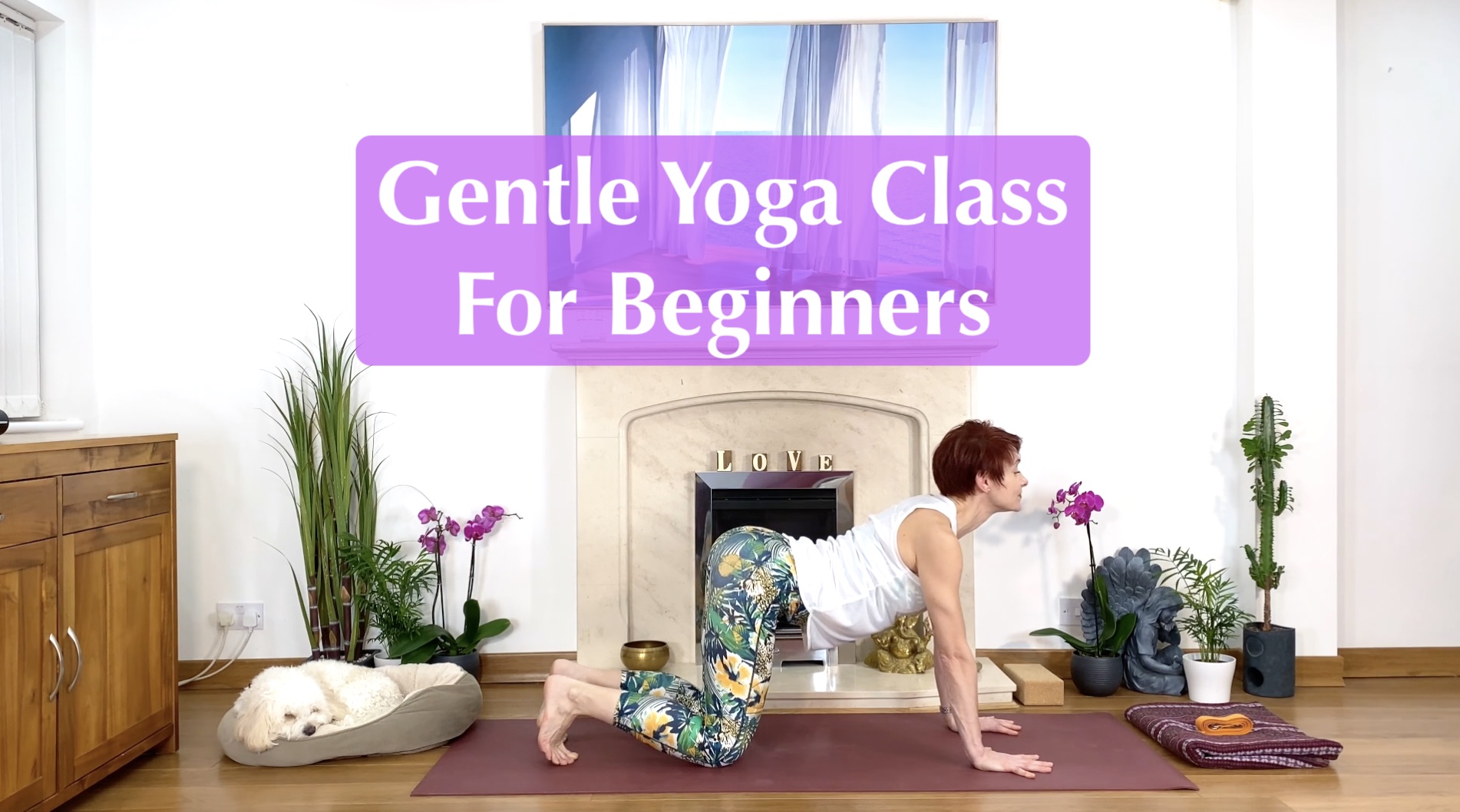 Yoga For Beginners. Gentle Flow For Flexibility