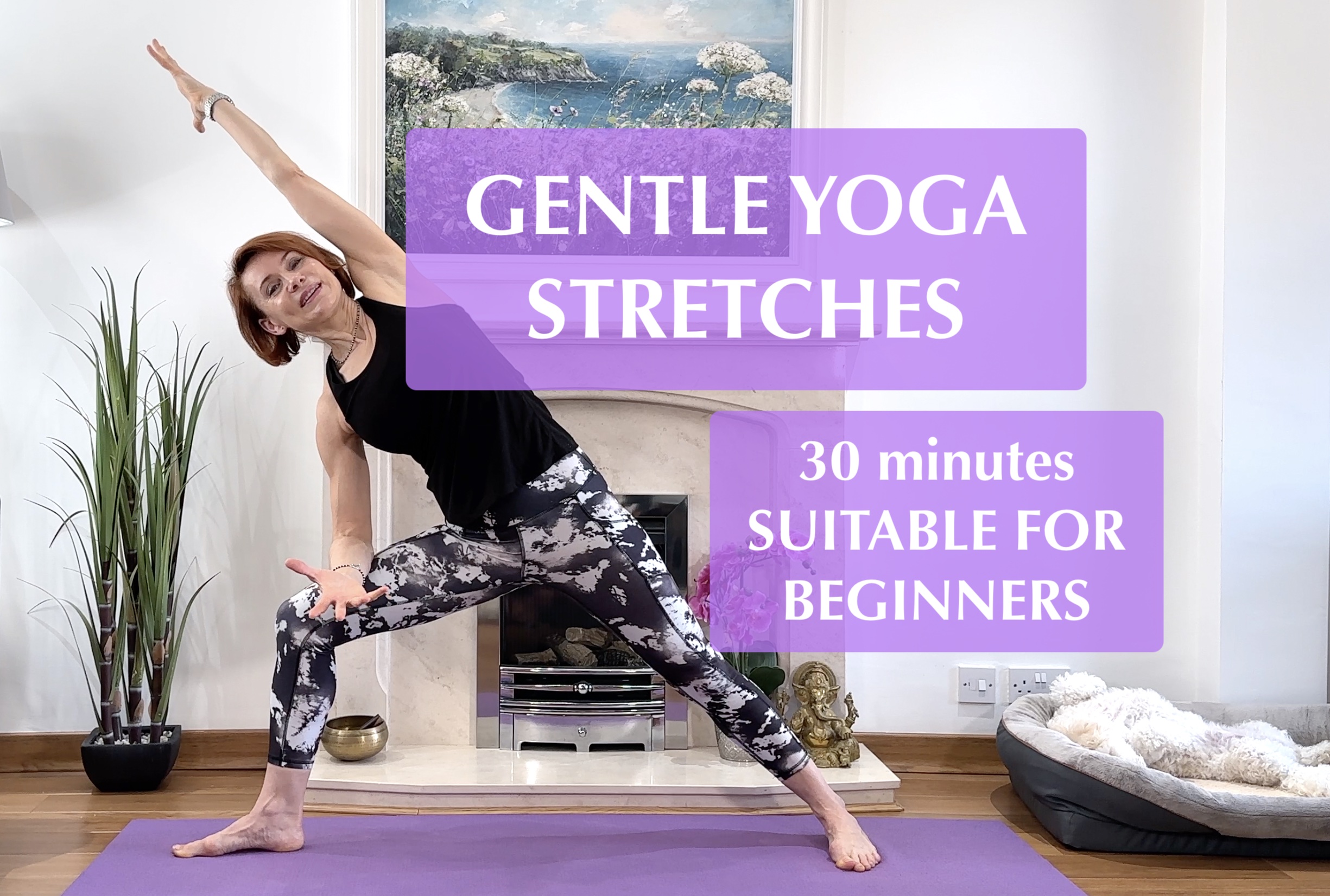 30 min Gentle Yoga Stretches