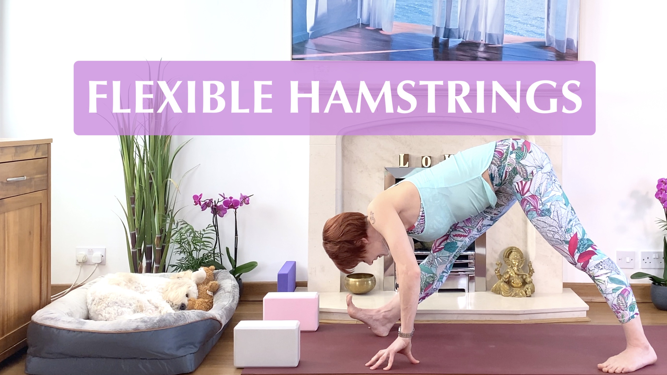 23 April | Flexible Hamstrings