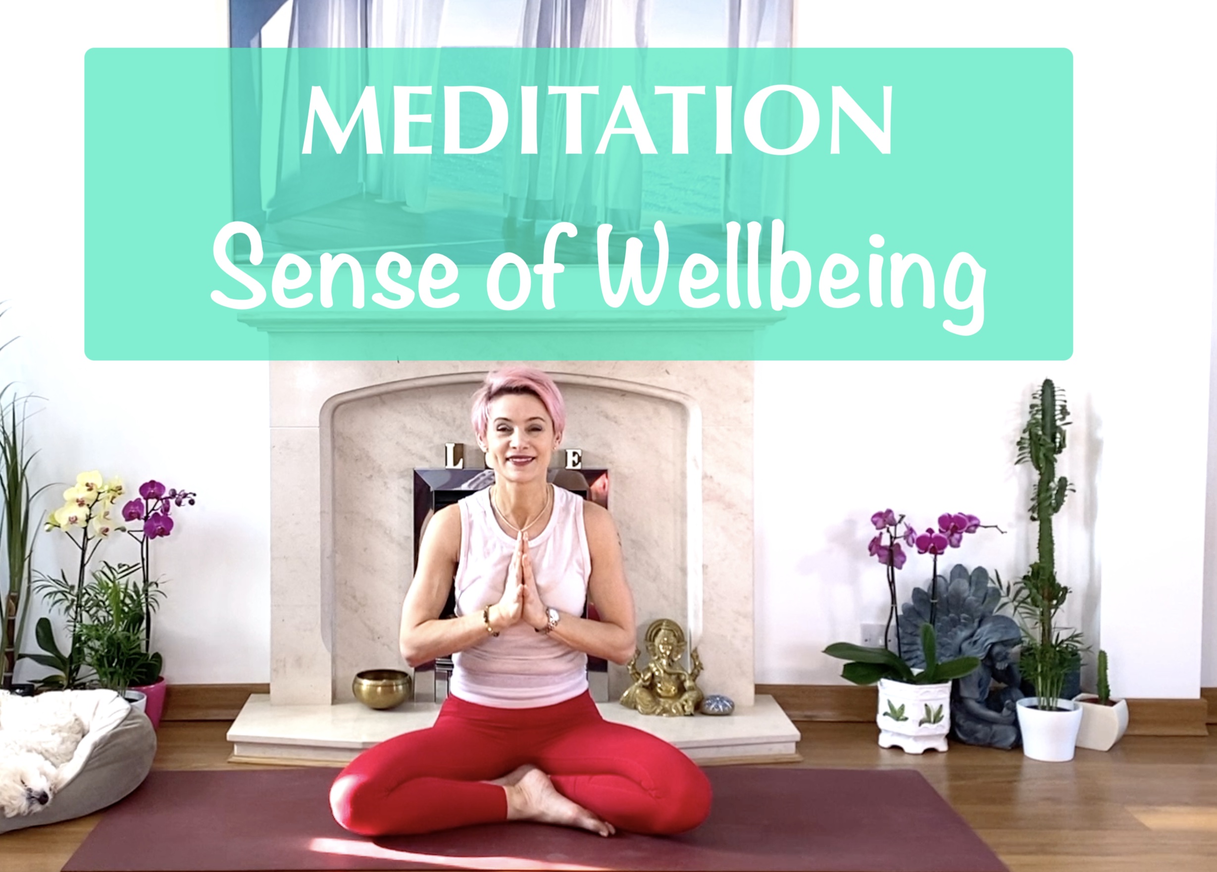 Sense Of Wellbeing