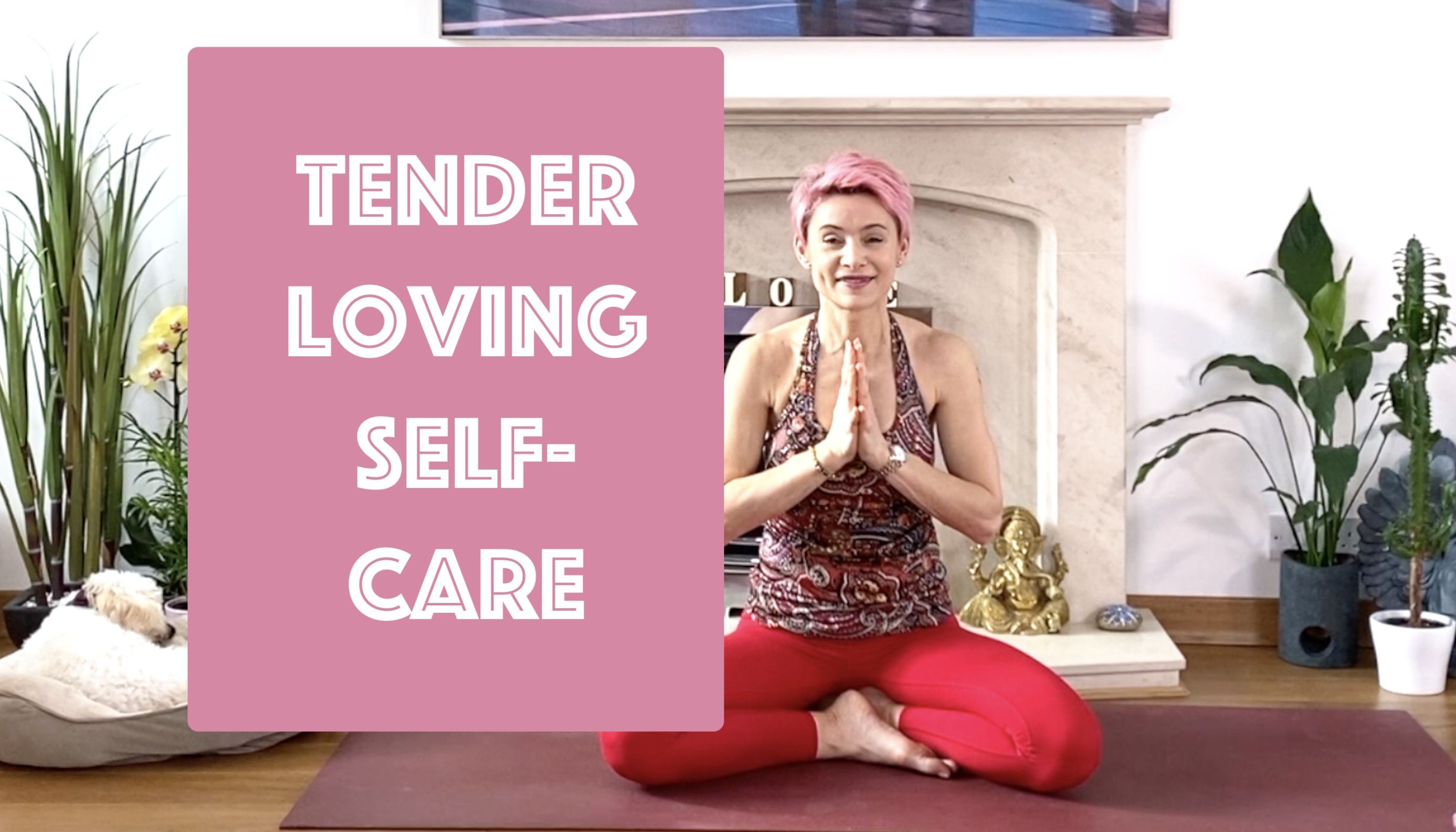 Tender Loving Care For Neck, Shoulders & Loving Kindness Meditation